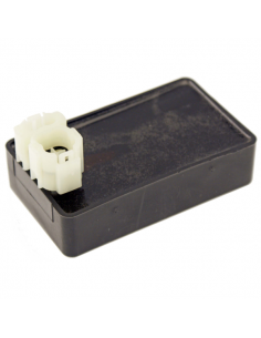 Centralina elettronica...