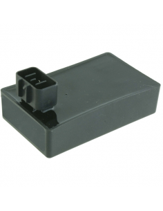 Centralina elettronica...