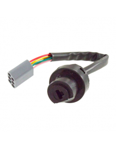 COMMUTATORE ACCENSIONE A...