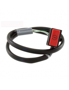 Pulsante avviamento Piaggio...