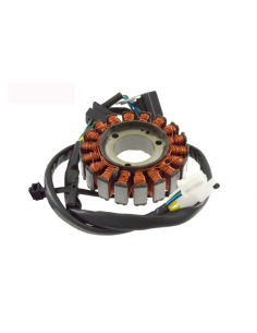 Statore Kymco Dink 250 KKC4