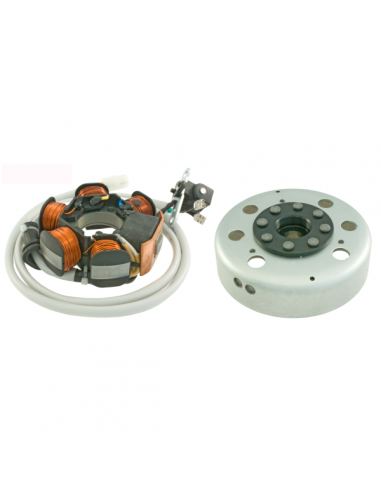 Volano completo Piaggio Sfera-Free...
