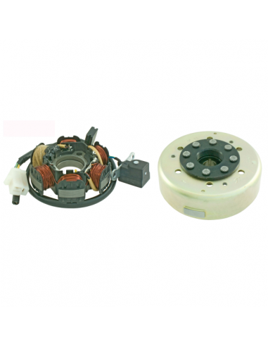 Volano completo Peugeot 2t 50cc 768349