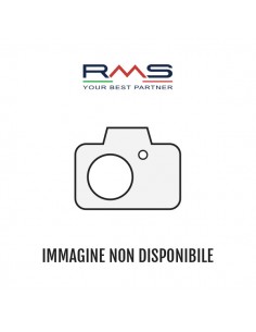 Teleruttore Piaggio...