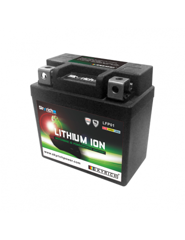 Batteria al litio LFP01 SKYRICH
