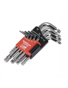 Set chiavi torx magnetiche...