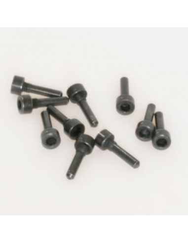 Vite supporto FIRMtech - 10 pz