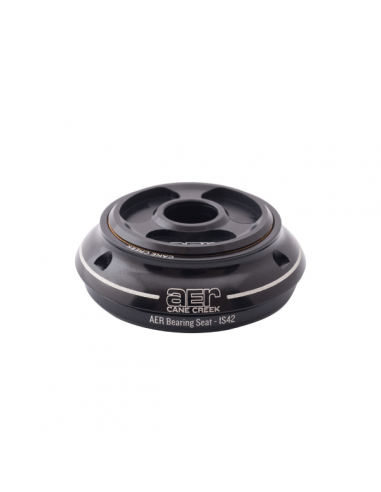 Serie sterzo IS42/28.6/H9 AER Series...