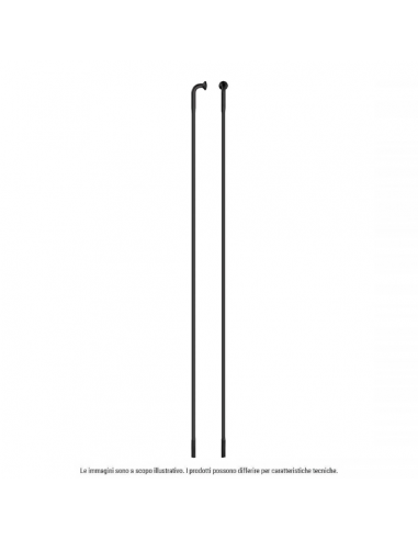 RAGGIO RACE INOX testa I-Dritta - 302...
