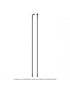 RAGGIO D-LIGHT INOX testa...