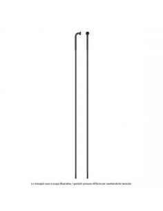 RAGGIO STRONG INOX testa... 2