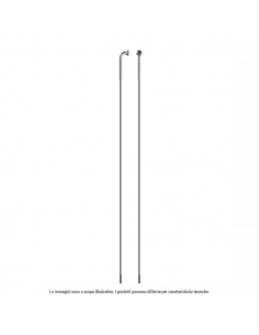 RAGGIO STRONG INOX testa...