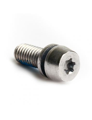 Viti PM (ACCIAIO ),T25 M6x16,incluso...