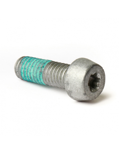 Viti pinza freno IS Alluminio - T25...