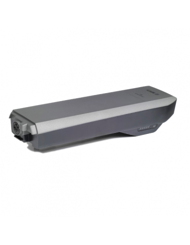 PowerPack 300 Platino, 300Wh, attacco...