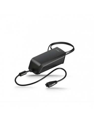 Fast Charger, caricabatterie 6A