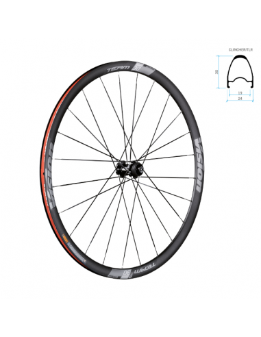 Coppia ruote TriMax30 Disc 6fori SH11 A9