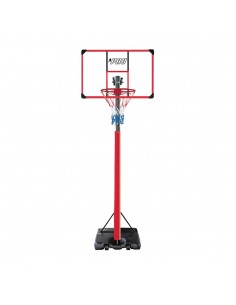 PIANTANA BASKET PRO misure...