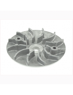 Semipuleggia motrice fissa...