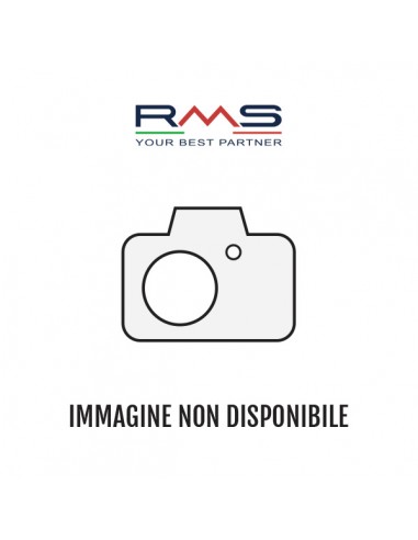 Fanale posteriore PX 125 CAT/PX125 E...