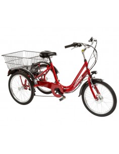 Bicicletta E-bike tre ruote...