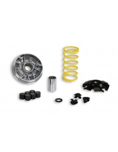 Malossi Variatore Multivar...